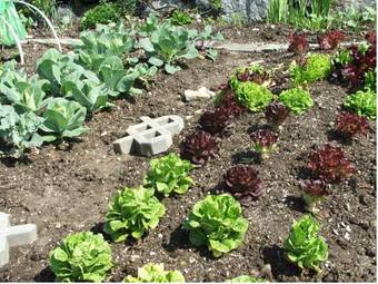 Hostal Pension J�gerheim