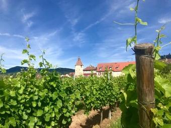 Hotel Munsch, Colmar Nord - Haut-koenigsbourg