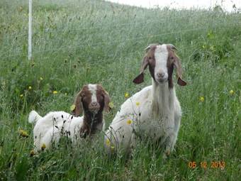 Bed & Breakfast Panoramahof Eggele