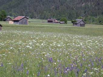 Agroturismo Banders Landhaus