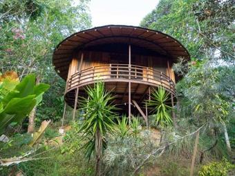 Paradise Lodge