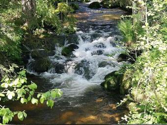 Apartamento Grundhof