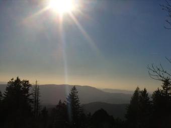 Hostal Pension Williams