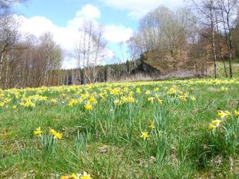 Vulkanhotel Balance&selfness ***s