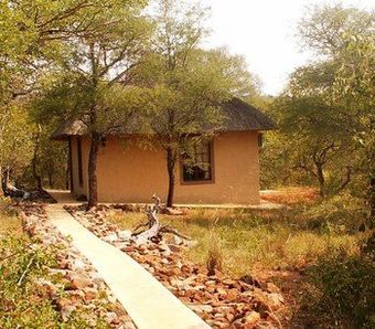 Shikwari Bush Lodge & Pangolin Bush Camp