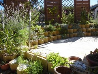 Hostal La Tour Aux Tilleuls