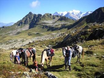 Apartamento Chalet 16 Pi�ces 28 Personnes Dans Un Environnement Calme Et Convivial 81792