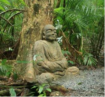 Bed & Breakfast Rainforest Hideaway