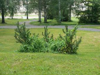 Hotel Kes�hotelli Domusvirrat