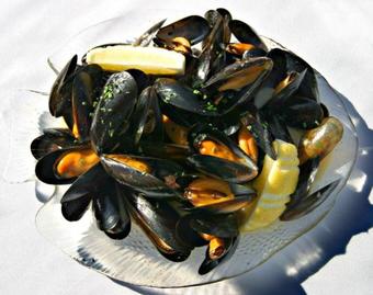 Loch Linnhe Waterfront Lodges