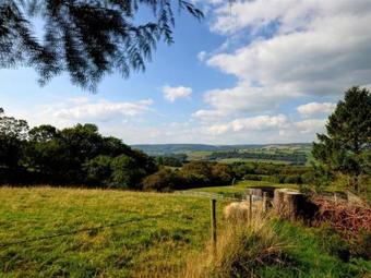 Cozy Holiday Home In Talley With Garden