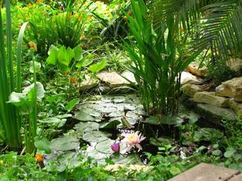 Villa Haigol Hapnimi