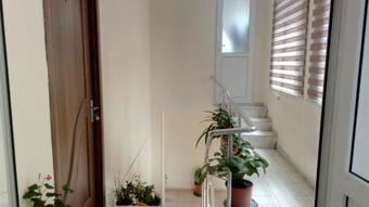 Hostal Sheki Guest House