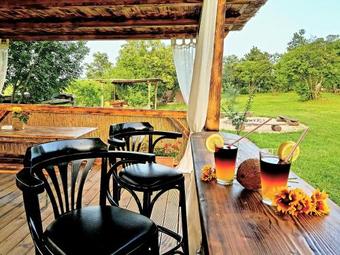 Robinson Accommodation Freedom