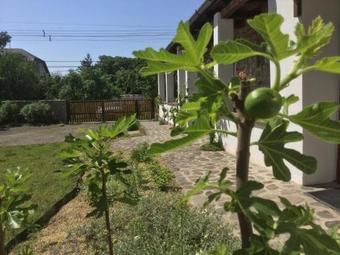 Hostal Vitamin B63 Vend�gh�z