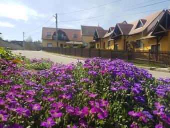 Bed & Breakfast Huber Panzi� �s Vend�gh�z