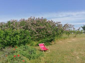Landhaus Nahe Plattensee