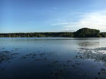 B�rdos Vend�gh�z