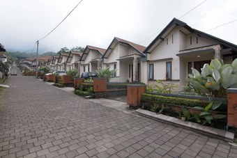Zen Rooms Cemara Bedugul