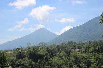 Hostal Dewata Homestay