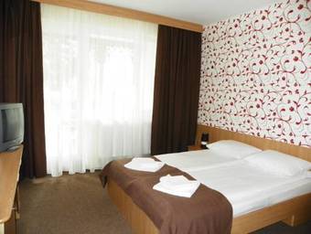 Hostal Hotel Muresul Health Spa