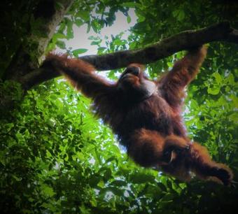 Hostal Sadar Wisata Guesthouse