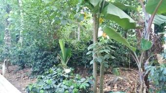 Hotel Coffee Choza Home Stay