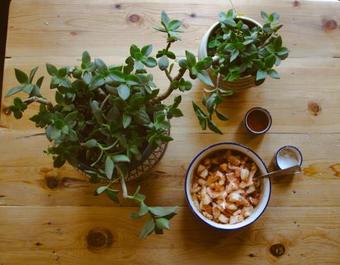 Bed & Breakfast The Blue Sheep Tirthan