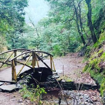 Hotel Sharda Resort-tirthan Valley