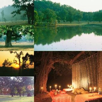 Hotel Junglemantra Resorts