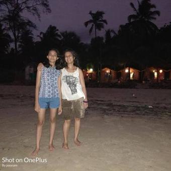 Hotel Coastal Galaxy Wooden Homes Devbag