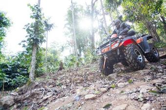 Hotel Misty Woods Resort