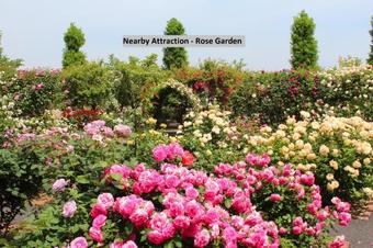 Villa Elite 3bhk Stay In Ooty