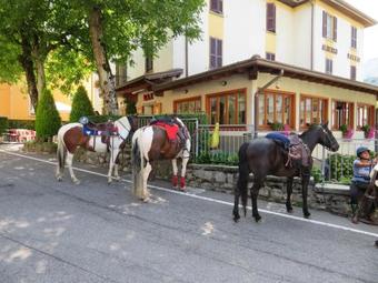 Hotel Albergo Maggio