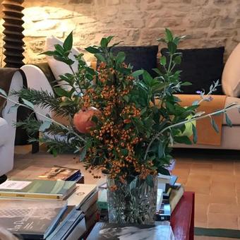 Agroturismo Casa Minotti