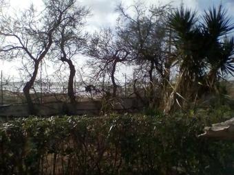 Holiday Home Str. Vicinale Granitola Cartibubbo