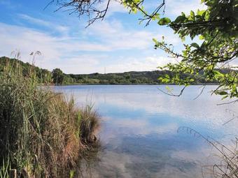 Locazione Turistica Residenz Agriletizia (mss235)