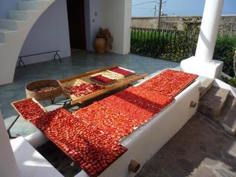 Agroturismo Agriturismo Casa Gialla