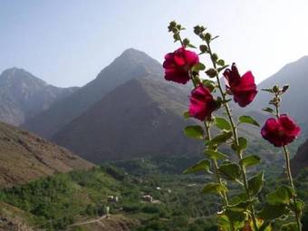 Bed & Breakfast Dar Imlil