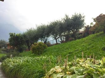 Mary Rose Apartments