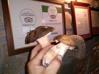 Apartment C.da Drago Lucida - 2