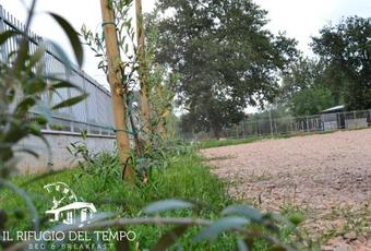 Bed & Breakfast Il Rifugio Del Tempo