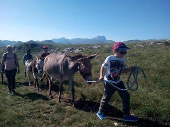 Apartamento Ladyhawke