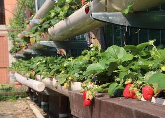 Bed & Breakfast 1906