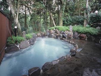 Hotel Kirishima Castle