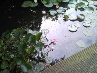 Apartamento Charles Cabour