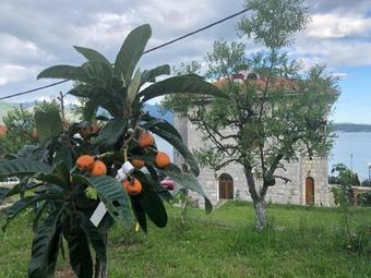 Villa Garden Beach