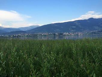 Apartmani Alo Alo (kod Mikija)