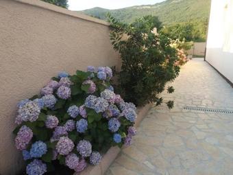 Apartmani Bulajic