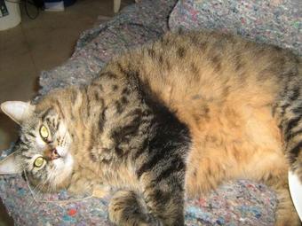 Tracy's Boutique B&B Farmstay